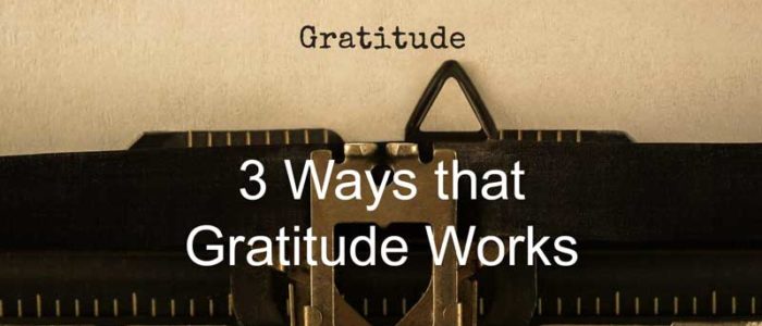 gratitude